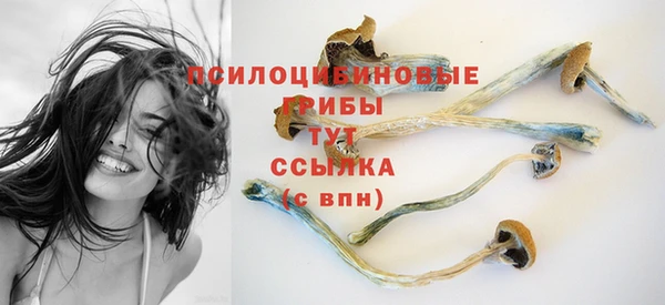 молекула духа Балабаново