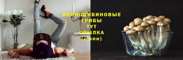 спиды Балахна