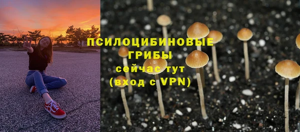 jwh Снежинск