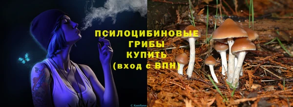молекула духа Балабаново